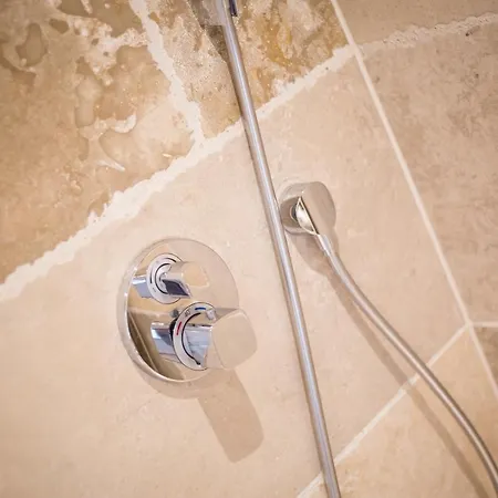 Sterntaucher * Vesterland