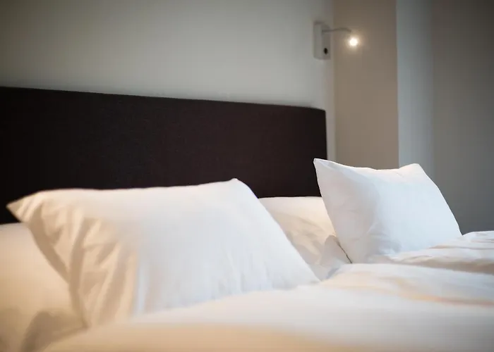 Sterntaucher Westerland